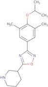 Ethyl-(S)-1-pyrrolidin-2-ylmethyl-carbamic acid benzyl ester