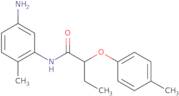 [(S)-1-(2-Hydroxy-ethyl)-pyrrolidin-3-yl]-isopropyl-carbamic acid tert-butyl ester