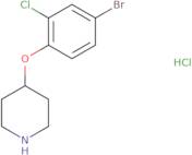 [(R)-1-(2-Amino-acetyl)-piperidin-3-yl]-carbamic acid benzyl ester