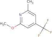 2-[(S)-3-(Isopropyl-methyl-amino)-piperidin-1-yl]-ethanol