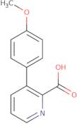 [(S)-3-(Acetyl-ethyl-amino)-piperidin-1-yl]-acetic acid