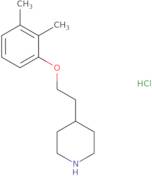 [(R)-3-(Benzyl-methyl-amino)-piperidin-1-yl]-acetic acid