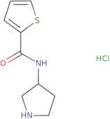 Thiophene-2-carboxylic acid(R)-pyrrolidin-3-ylamide hydrochloride