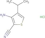 [(R)-1-(2-Amino-ethyl)-piperidin-3-yl]-benzyl-cyclopropyl-amine