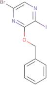 (R)-3-[(2-Chloro-acetyl)-cyclopropyl-amino]-pyrrolidine-1-carboxylic acid tert-butyl ester