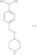 {(S)-2-[(Benzyl-methyl-amino)-methyl]-pyrrolidin-1-yl}-acetic acid