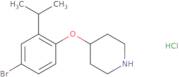 (S)-N-[2-(Acetyl-methyl-amino)-cyclohexyl]-2-amino-propionamide