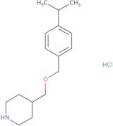 [1-((S)-2-Amino-propionyl)-pyrrolidin-3-ylmethyl]-ethyl-carbamic acid benzyl ester