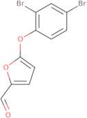 (S)-2-Amino-1-{2-[(isopropyl-methyl-amino)-methyl]-piperidin-1-yl}-propan-1-one