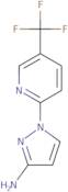 (S)-2-Amino-1-{3-[(benzyl-cyclopropyl-amino)-methyl]-piperidin-1-yl}-propan-1-one