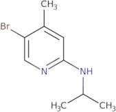 N-[1-((S)-2-Amino-propionyl)-pyrrolidin-3-ylmethyl]-acetamide