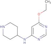 6-Ethoxy-N-(piperidin-4-yl)pyrimidin-4-amine