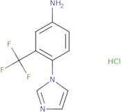 [4-(1H-Imidazol-1-yl)-3-(trifluoromethyl)phenyl]amine hydrochloride