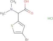 2-(4-Bromothiophen-2-yl)-2-(dimethylamino)acetic acid hydrochloride