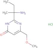 2-(2-Aminobutan-2-yl)-6-(methoxymethyl)-3,4-dihydropyrimidin-4-one hydrochloride