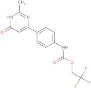 2,2,2-Trifluoroethyl N-[4-(2-methyl-6-oxo-1,6-dihydropyrimidin-4-yl)phenyl]carbamate