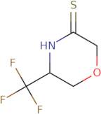 5-(Trifluoromethyl)morpholine-3-thione