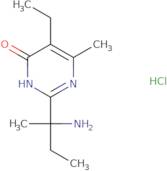 2-(2-Aminobutan-2-yl)-5-ethyl-6-methyl-1,4-dihydropyrimidin-4-one hydrochloride