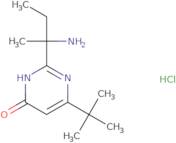 2-(2-Aminobutan-2-yl)-6-tert-butyl-3,4-dihydropyrimidin-4-one hydrochloride