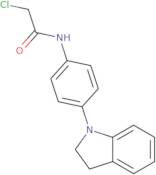 2-Chloro-N-[4-(2,3-dihydro-1H-indol-1-yl)phenyl]acetamide