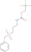 2,2,2-Trifluoroethyl N-(3-phenylmethanesulfonylpropyl)carbamate