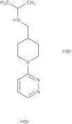 N-[(1-Pyridazin-3-ylpiperidin-4-yl)methyl]propan-2-amine dihydrobromide