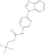 2,2,2-Trifluoroethyl N-[6-(1H-1,3-benzodiazol-1-yl)pyridin-3-yl]carbamate