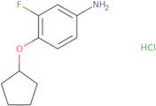 4-(Cyclopentyloxy)-3-fluoroaniline hydrochloride