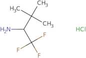 1,1,1-Trifluoro-3,3-dimethylbutan-2-amine hydrochloride