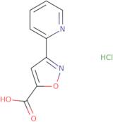 3-(Pyridin-2-yl)-1,2-oxazole-5-carboxylic acid hydrochloride