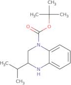 tert-Butyl 3-(propan-2-yl)-1,2,3,4-tetrahydroquinoxaline-1-carboxylate