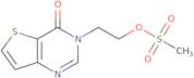 2-{4-Oxo-3H,4H-thieno[3,2-d]pyrimidin-3-yl}ethyl methanesulfonate