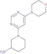 1-[6-(Morpholin-4-yl)pyrimidin-4-yl]piperidin-3-amine