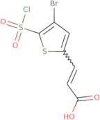 3-[4-Bromo-5-(chlorosulfonyl)thiophen-2-yl]prop-2-enoic acid