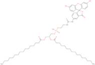 Fluorescein-dipalmitoylphosphatidylethanolamine triethylammonium salt