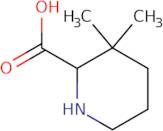 3,3-Dimethylpiperidine-2-carboxylicacid