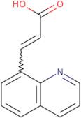 (2E)-3-(Quinolin-8-yl)prop-2-enoic acid