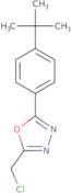 2-(4-tert-Butylphenyl)-5-(chloromethyl)-1,3,4-oxadiazole