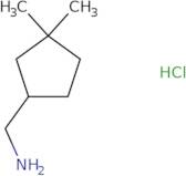 (3,3-Dimethylcyclopentyl)methanamine hydrochloride