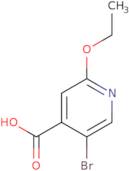5-Bromo-2-ethoxyisonicotinic acid