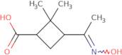 3-[1-(Hydroxyimino)ethyl]-2,2-dimethylcyclobutane-1-carboxylic acid