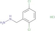 [(2,5-Dichlorophenyl)methyl]hydrazine hydrochloride