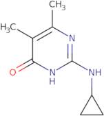 2-(Cyclopropylamino)-5,6-dimethylpyrimidin-4(3H)-one