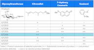 Glucosyltransferase 206-freeze dried