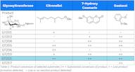 Glucosyltransferase 211-freeze dried