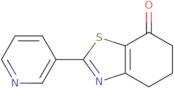 2-(3-Pyridinyl)-5,6-dihydro-1,3-benzothiazol-7(4H)-one