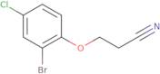 3-(2-Bromo-4-chloro-phenoxy)propanenitrile