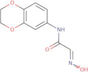 N-(2,3-Dihydro-1,4-benzodioxin-6-yl)-2-(N-hydroxyimino)acetamide