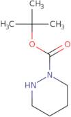 tert-Butyl tetrahydro-1(2H)-pyridazinecarboxylate