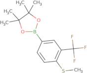 4-Methylthio-3-(trifluoromethyl)phenylboronic acid pinacol ester